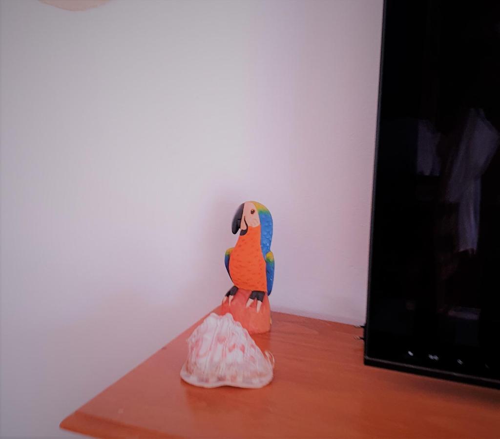 Apartamentos La Libertad אסטפונה מראה חיצוני תמונה